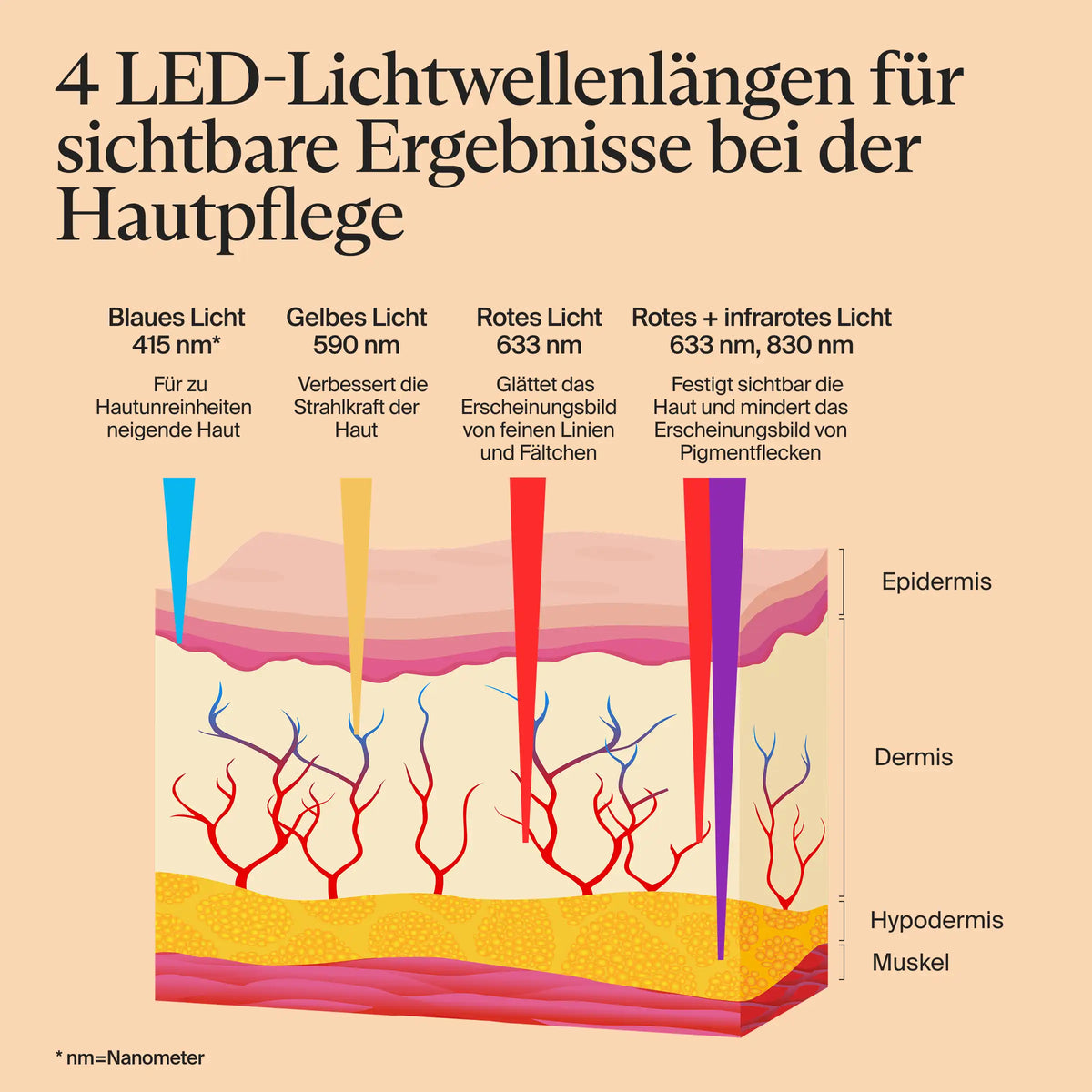Infografik zum Therabody SkinSpa PRO: Querschnitt der Haut mit Epidermis, Dermis, Hypodermis und Muskel. Blaues Licht 415 nm für zu Hautunreinheiten neigende Haut, gelbes Licht 590 nm verbessert die Strahlkraft, rotes Licht 633 nm glättet feine Linien und Fältchen, rotes plus infrarotes Licht 633 nm und 830 nm festigt sichtbar die Haut und mindert Pigmentflecken. Die Lichtstrahlen dringen unterschiedlich tief in die Hautschichten ein