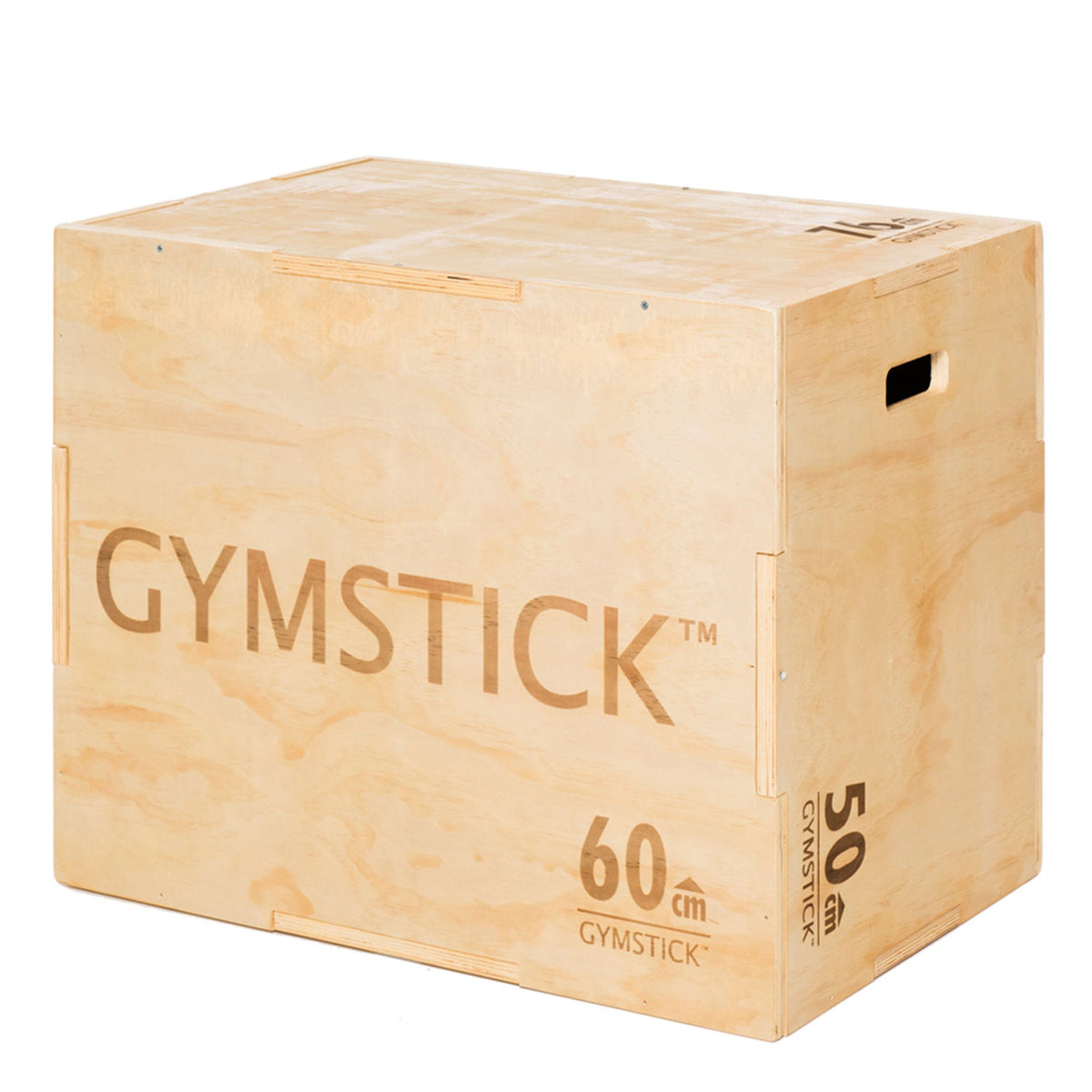 Plyobox Gymstick 1